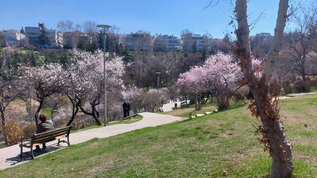 Kars'ta kar Ankara'da bahar 2