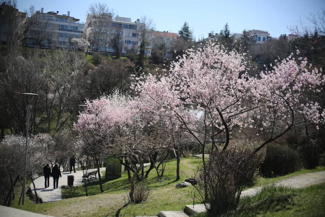 Kars'ta kar Ankara'da bahar 3