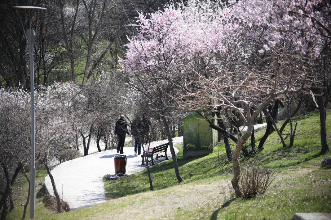 Kars'ta kar Ankara'da bahar 5