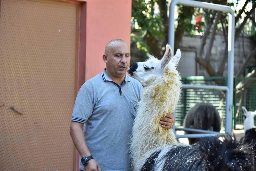 Keçiören Evcil Hayvanlar Parkı’nın Yeni Üyeleri Dünyaya Gözlerini Açtı 4