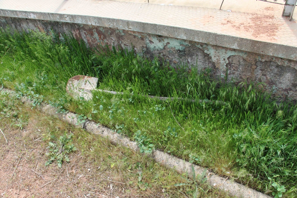 Harabeye dönen Cebeci İnönü Stadyumu, yıkılacağı günü bekliyor 17