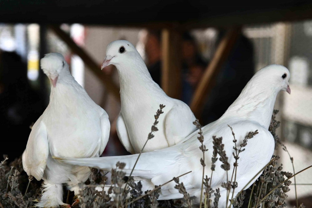 BAŞKENT’İN RENKLERİ ANKARA KALESİ’NDE SANATLA BULUŞTU 30