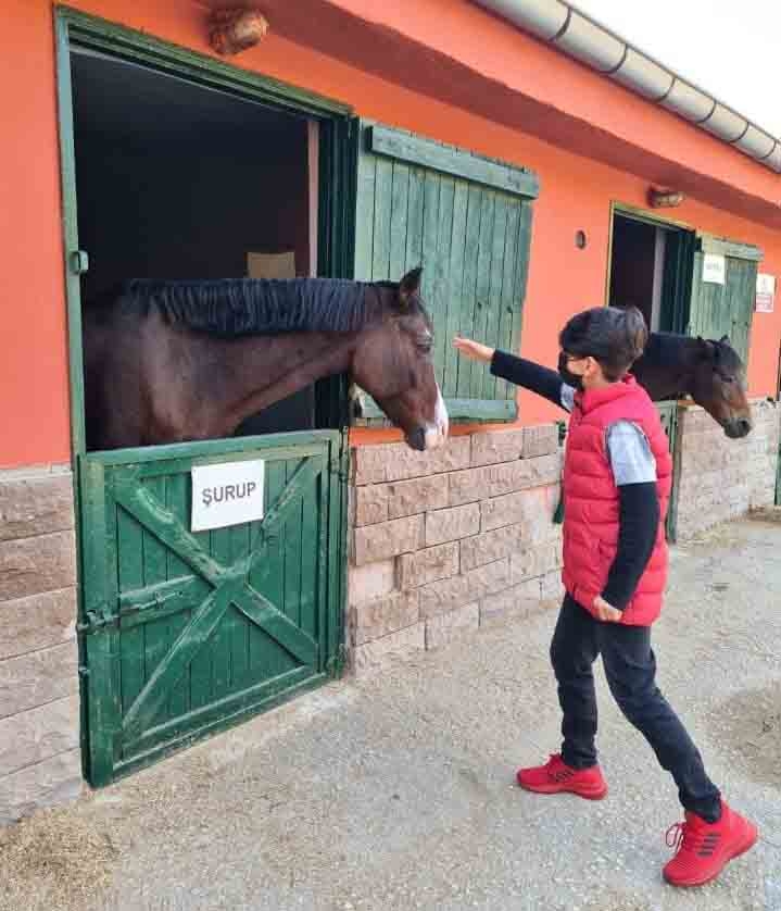 10 köpeğin saldırısına uğrayan 12 yaşındaki Enes, 9 cerrahi operasyon ge 2