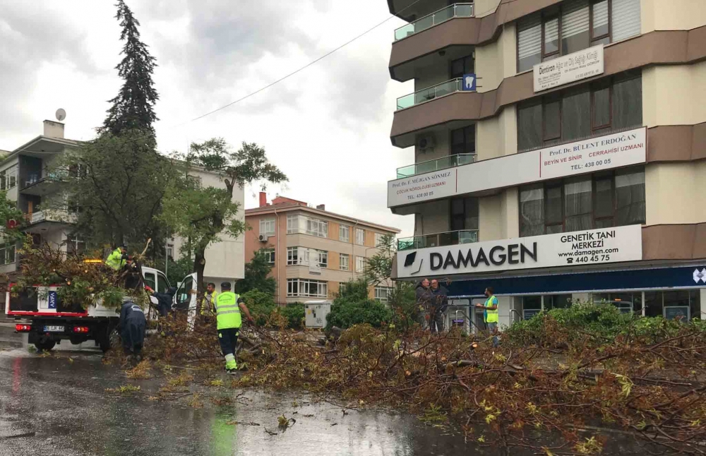 Ankara'yı sağanak vurdu, çatılar uçtu, ağaçlar devrildi: Sele kapılan bi 13