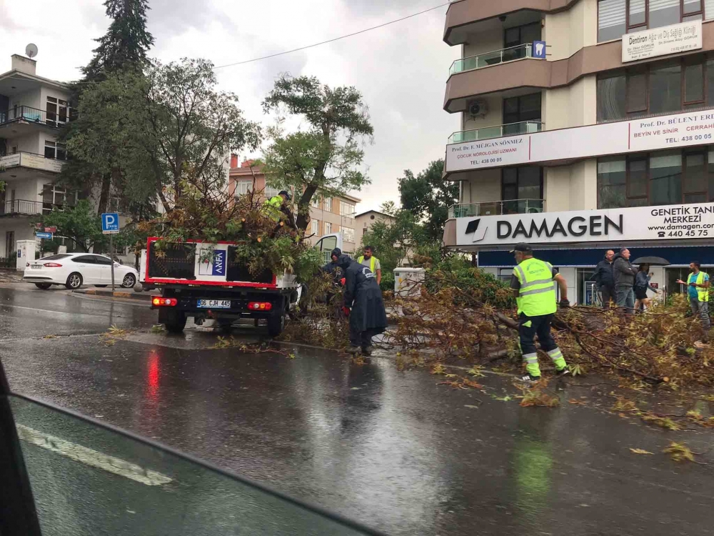 Ankara'yı sağanak vurdu, çatılar uçtu, ağaçlar devrildi: Sele kapılan bi 14