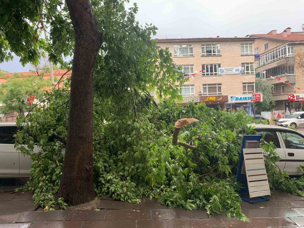 Ankara'yı sağanak vurdu, çatılar uçtu, ağaçlar devrildi: Sele kapılan bi 22