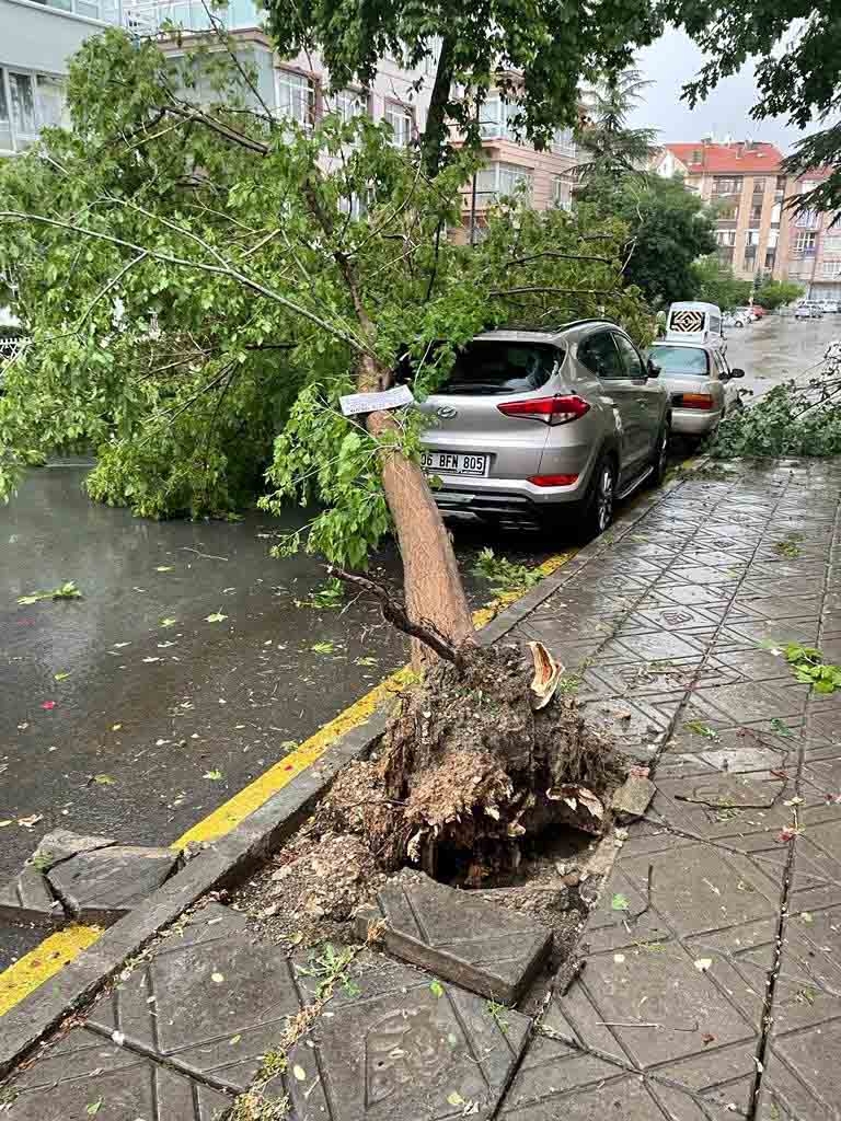 Ankara'yı sağanak vurdu, çatılar uçtu, ağaçlar devrildi: Sele kapılan bi 4