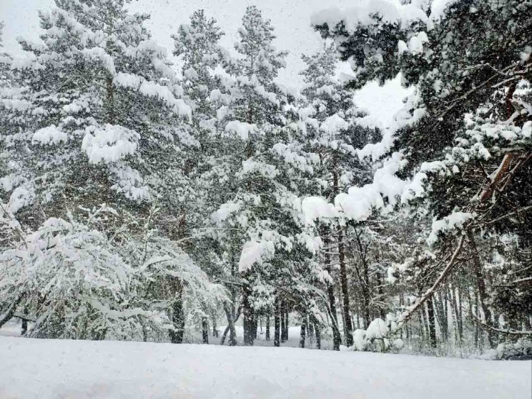 Bolu'dan kar manzaraları 13