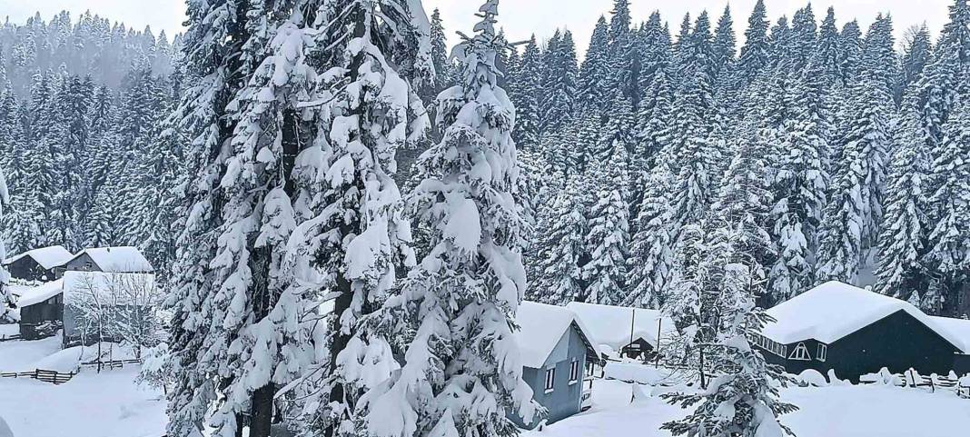 Bolu'dan kar manzaraları 22