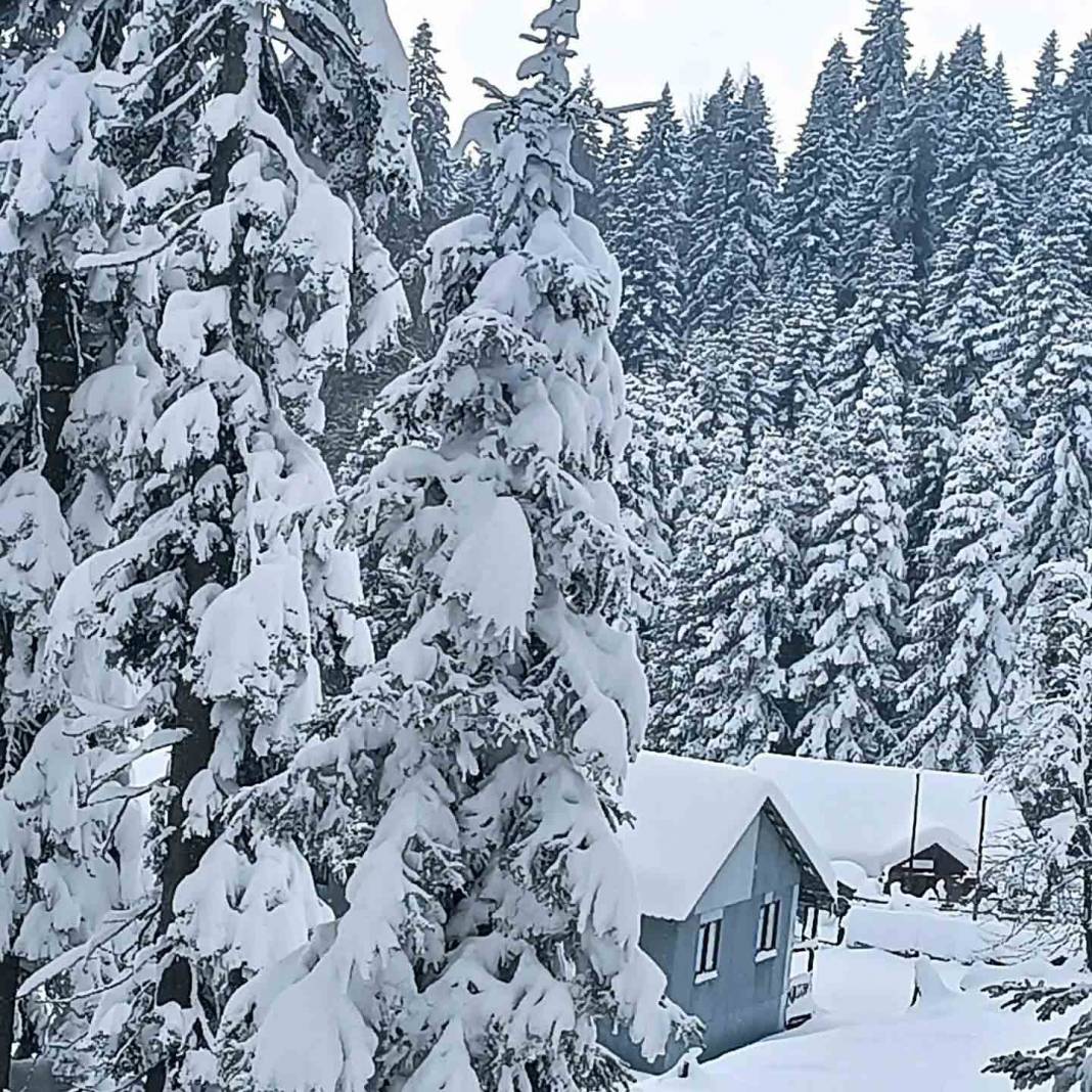 Bolu'dan kar manzaraları 24