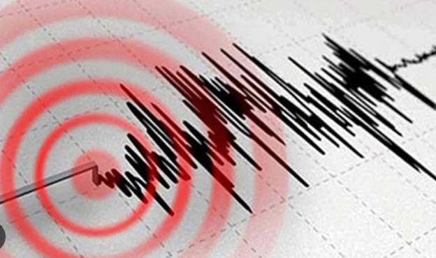 Şiddetli deprem fena salladı 3