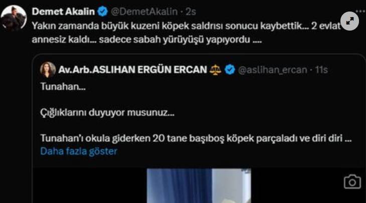 Demet Akalın Göz Yaşları İçinde Duyurdu Kaybettik... 4