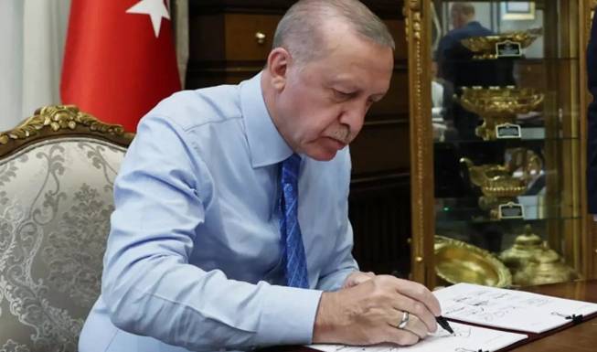 Erdoğan'dan sokak köpekleri için talimat geldi! 1