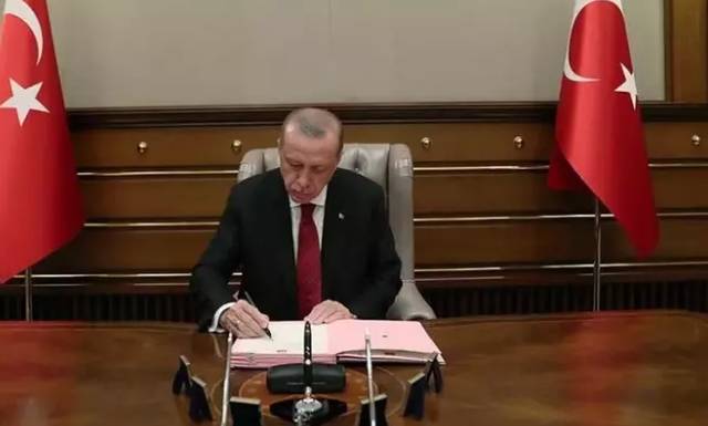 Erdoğan'dan sokak köpekleri için talimat geldi! 4