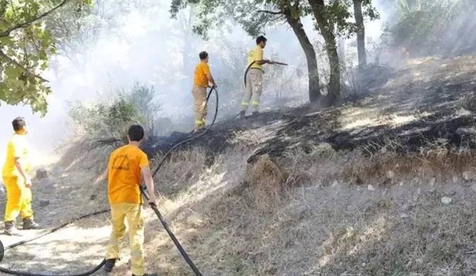 Kızılcahamam'da çıkan orman yangını Saray köyüne ulaştı 1