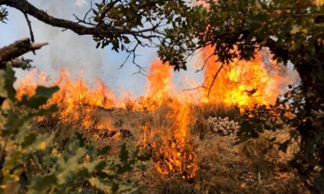 Kızılcahamam'da çıkan orman yangını Saray köyüne ulaştı 6