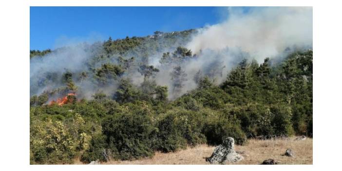 Manisa Soma'dan Korkutan Yangın