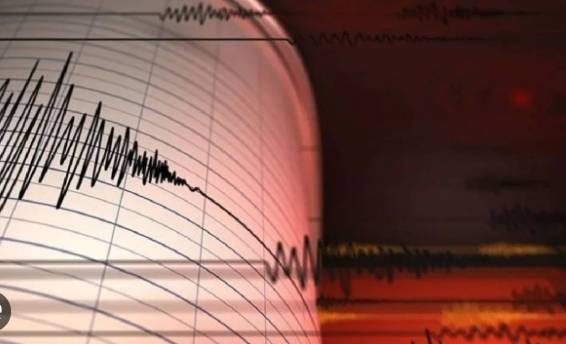 Bingöl'de 7.5 büyüklüğünde deprem  senaryosu 4