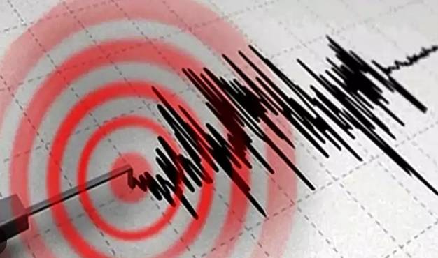 7.2'lik deprem beklediği yeri açıkladı 1