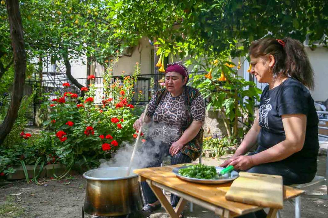 Adana Osmaniye'de tirşik otunun yeni türü literatüre girdi 9