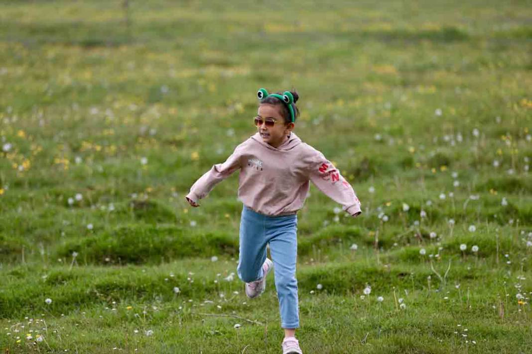 Bolu'da At Yaylası, yeşillenen otlaklarıyla yılkı atlarını ve hayvan sürülerine ev sahipliği yapıyor 6