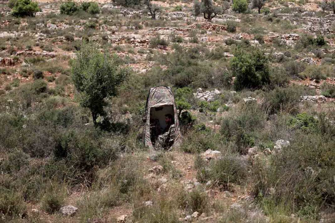 Filistinli fotoğrafçının, doğal yaşamla mücadelesi 4