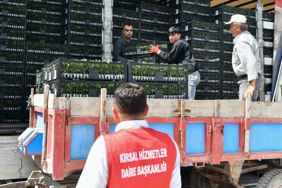 Ankara’da yerli üreticiye destek devam ediyor: ABB sebze fidesi dağıtımına başladı 10