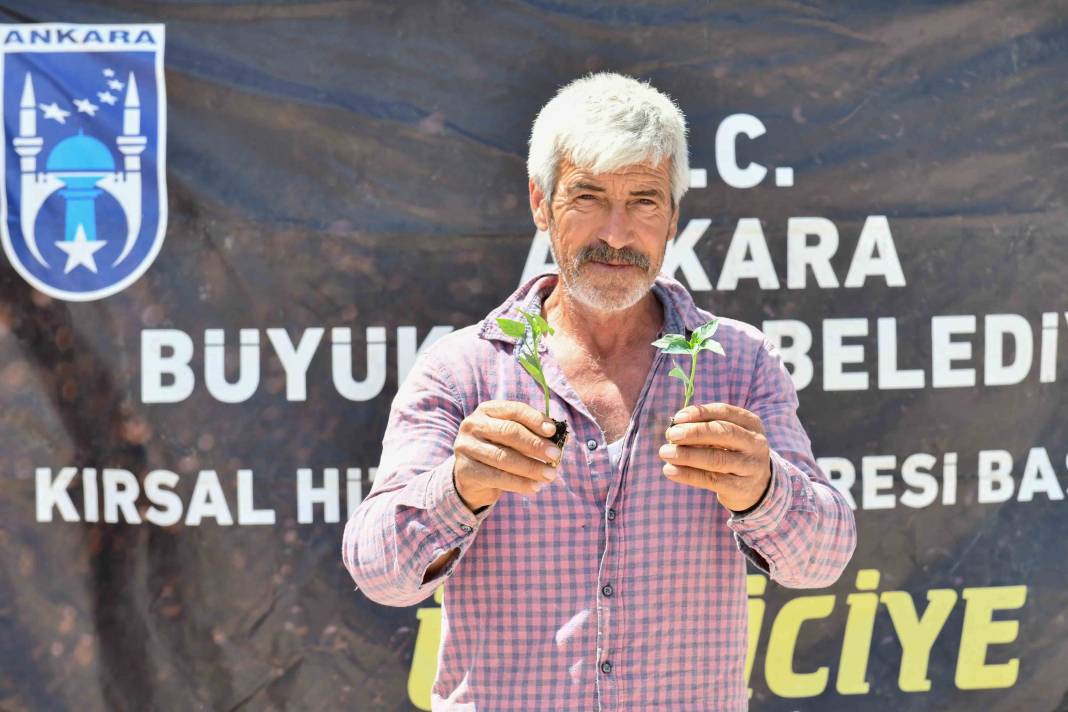 Ankara’da yerli üreticiye destek devam ediyor: ABB sebze fidesi dağıtımına başladı 16