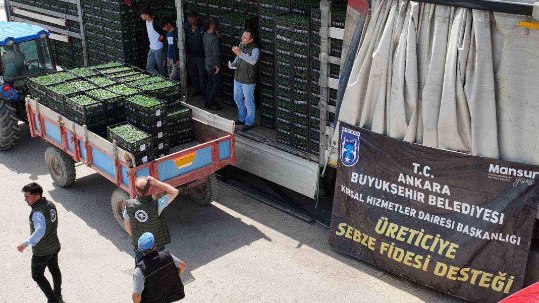 Ankara’da yerli üreticiye destek devam ediyor: ABB sebze fidesi dağıtımına başladı 6