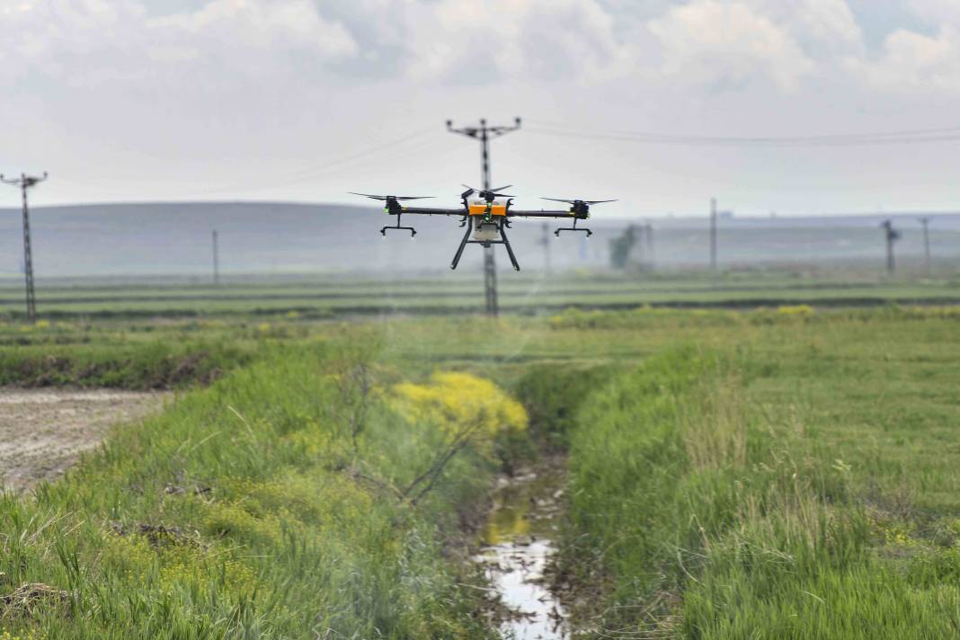 Ankara'da drone ile gübreleme ve ilaçlama hizmeti 11