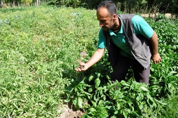 200 yıllık geleneği sürdüren köylüler hasta olmuyor 8