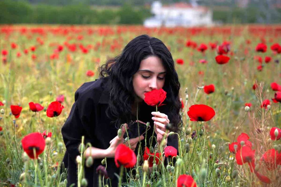 Elazığ'da kırmızıya bürünen gelincik tarlası doğaseverlerin yeni gözdesi oldu 4