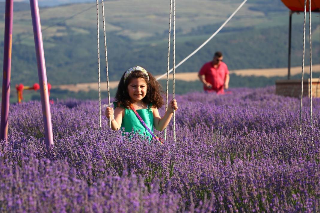 Tekirdağ'da mor renkli tarlalar bayramda yerli ve yabancı turistleri ağırladı 5