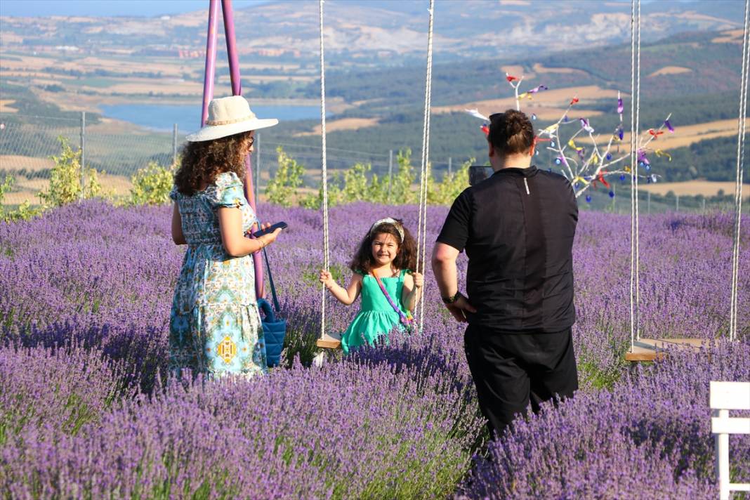 Tekirdağ'da mor renkli tarlalar bayramda yerli ve yabancı turistleri ağırladı 6