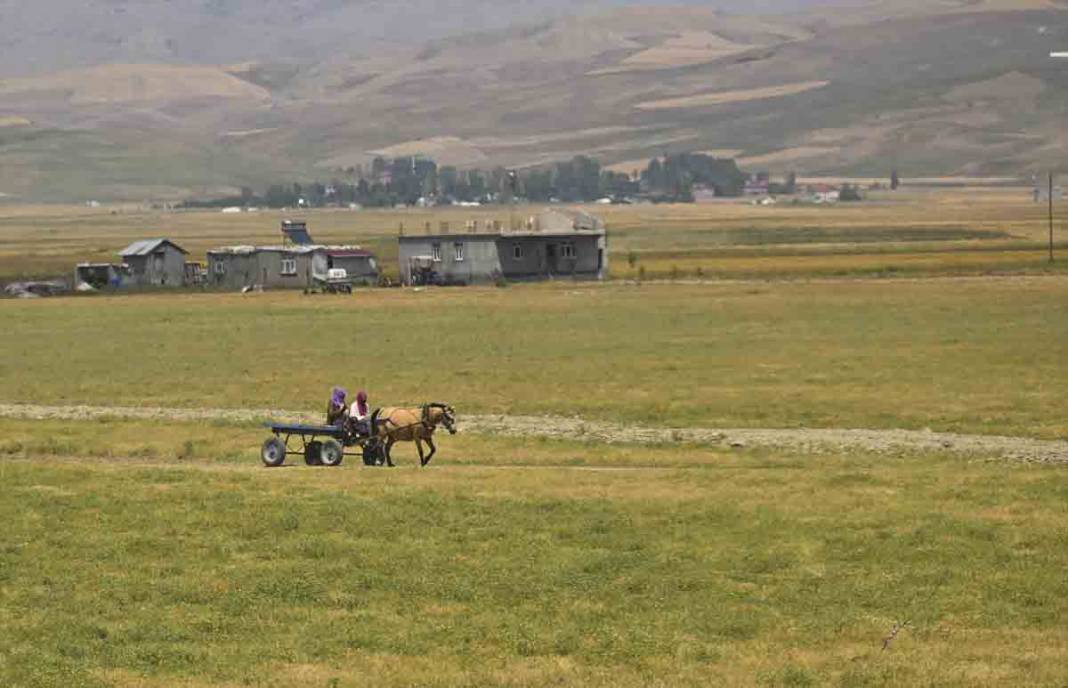 Van Gölü Ekspresi, yolcularına eşsiz manzaralar sunuyor 15