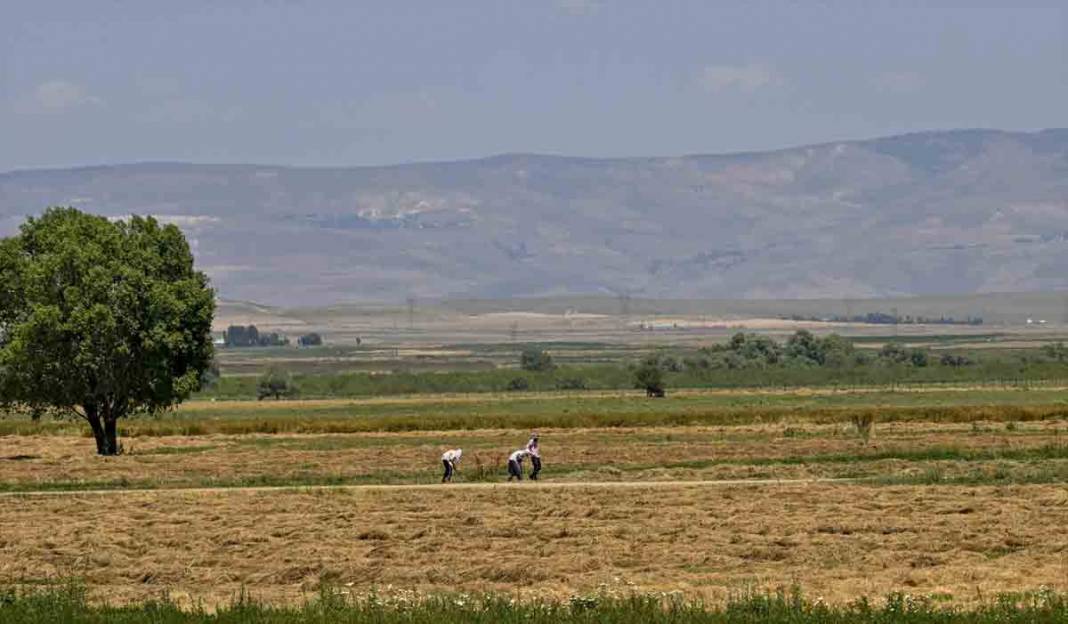 Van Gölü Ekspresi, yolcularına eşsiz manzaralar sunuyor 16