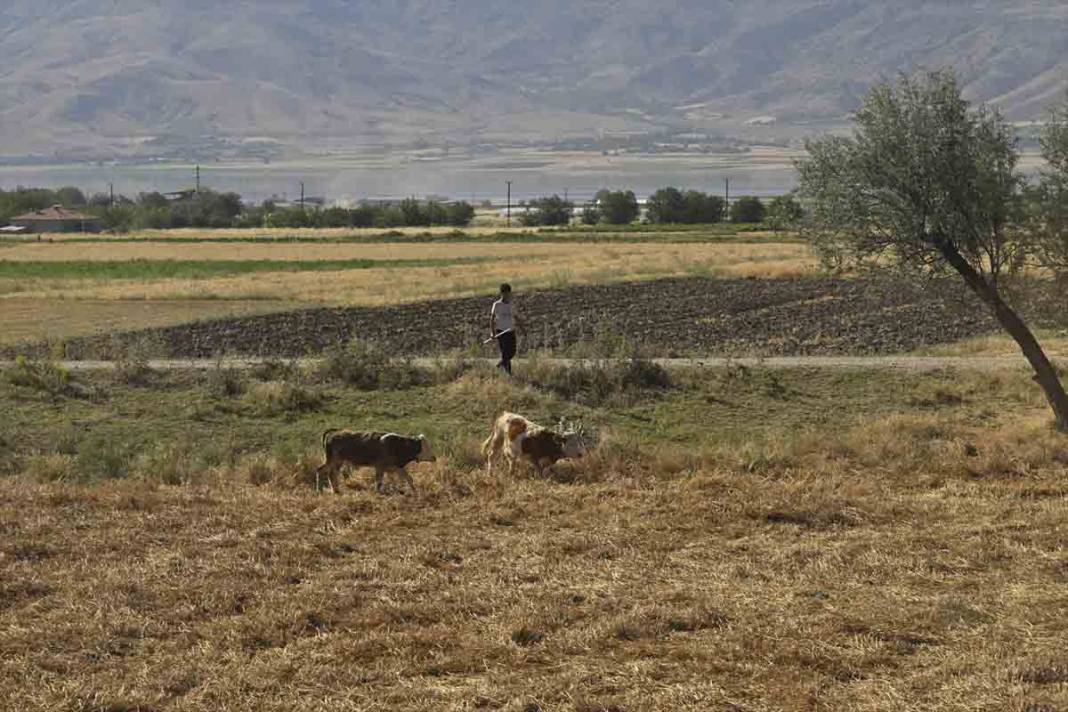 Van Gölü Ekspresi, yolcularına eşsiz manzaralar sunuyor 3