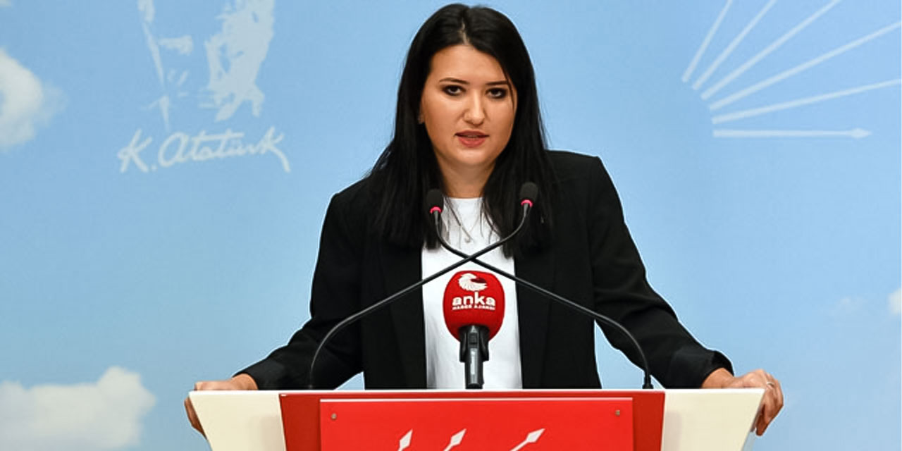 CHP'li Gökçe Gökçen, okullara imam ve vaiz görevlendirilmesine karşı çıktı