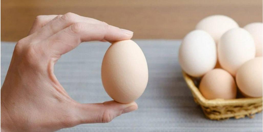 Türkiye, Dünyada en çok yumurta tüketen ülkeler arasında yer alıyor