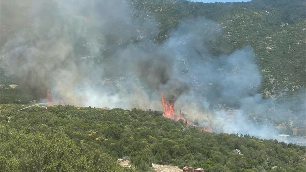 Antalya Kaş'ta çıkan orman yangını kontrol altına alındı