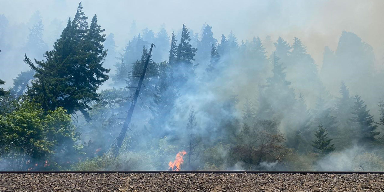 Washington’da orman yangını araziyi mahvetti!