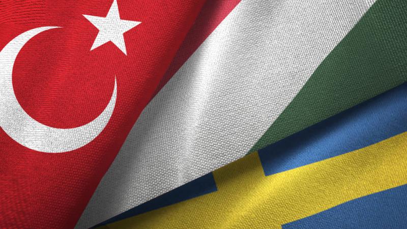 Macaristan'dan İsveç açıklaması: Türkiye ile birlikte hareket edeceğiz
