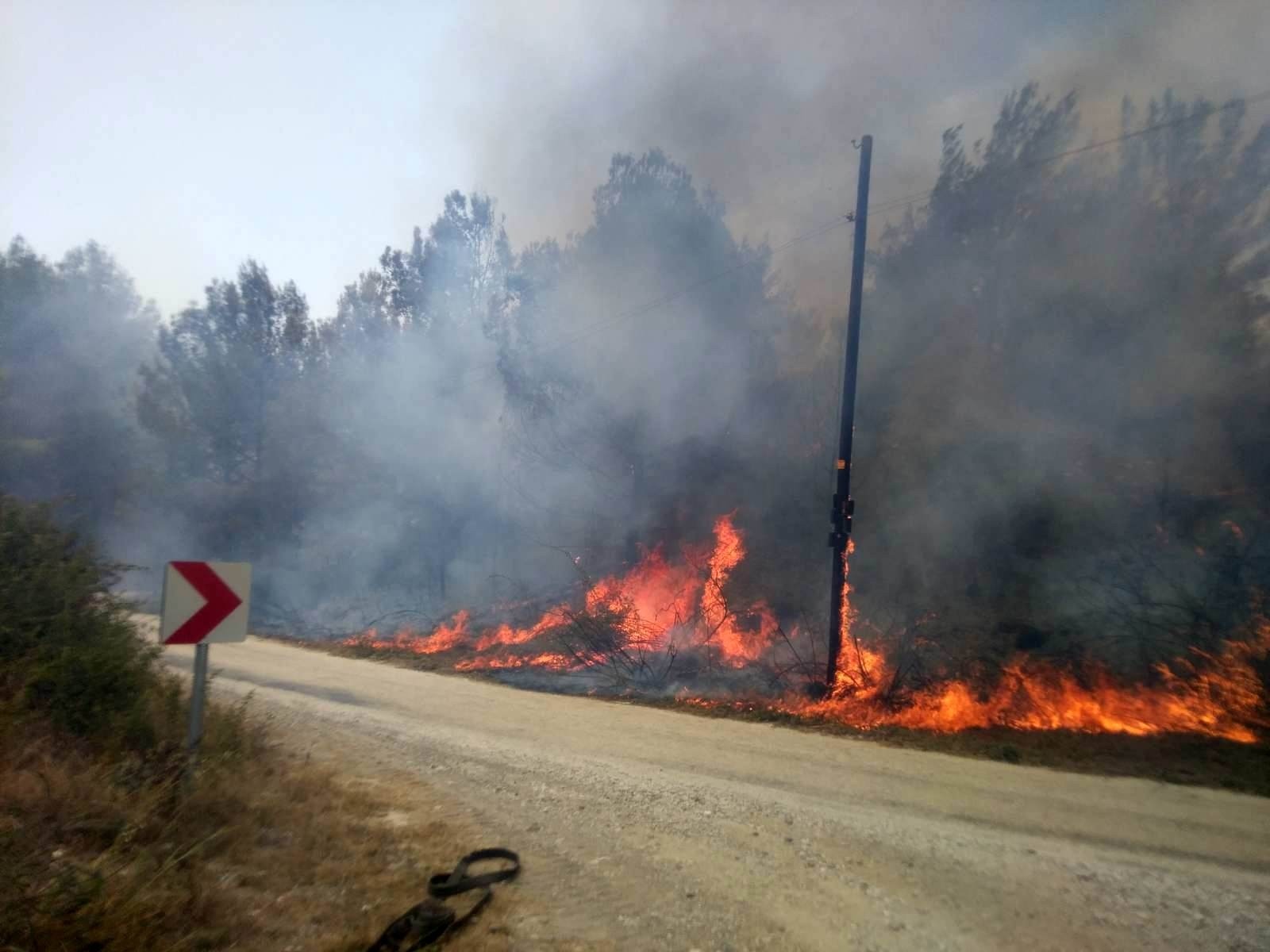 Osmaniye'de orman yangını devam ediyor