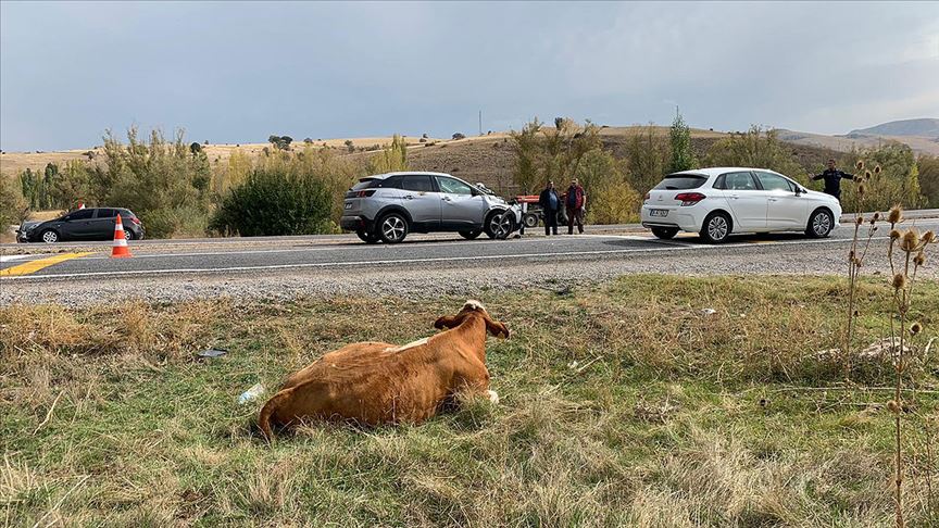 Sivas'ta traktör sürücüsü dengesini kaybedip düştü! Feci son!