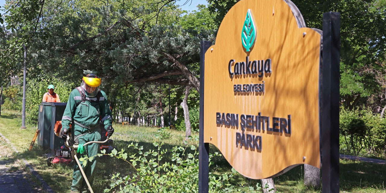 Çankaya parklarına yaz bakımı