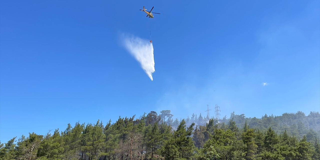 Muğla Marmaris'te ormanlık alanda yangın: Ekipler müdahale ediyor!