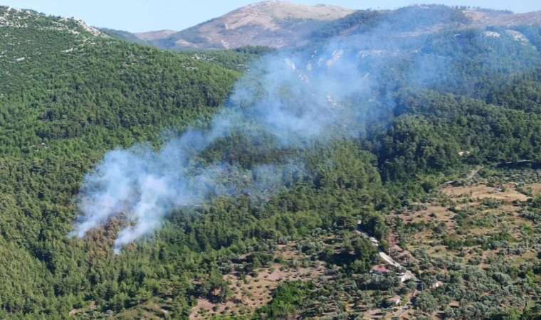 Muğla'da yangın çıktı!