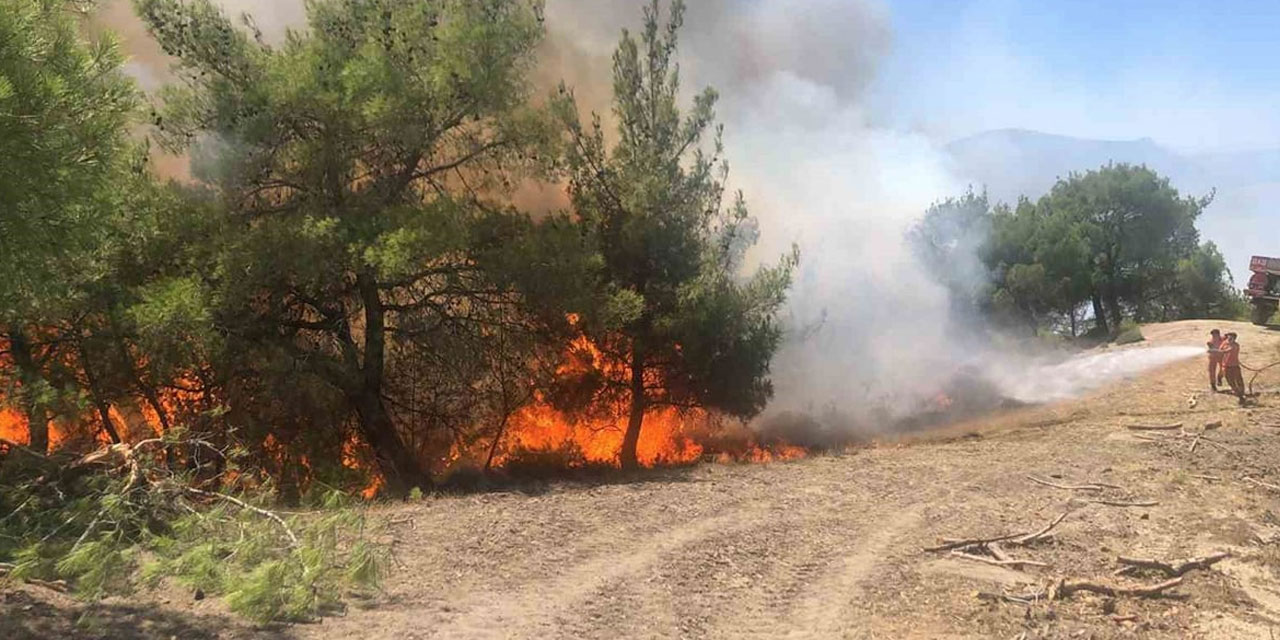 Orman yangınları devam ediyor: Adana ve Mersin'de yangın
