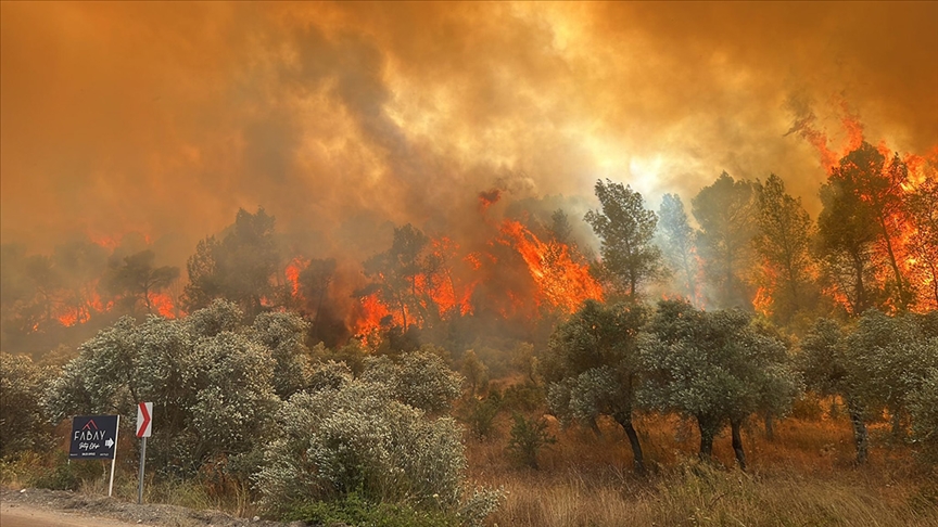 Muğla'da  ormanlık alanda yangın çıktı!