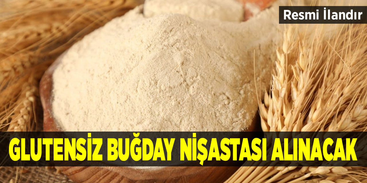 Glutensiz Buğday Nişastası Alınacak